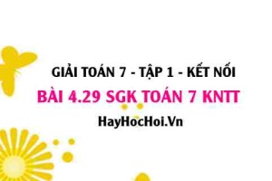 Bài 4.29 SGK Toán 7 tập 1 Kết nối tri thức